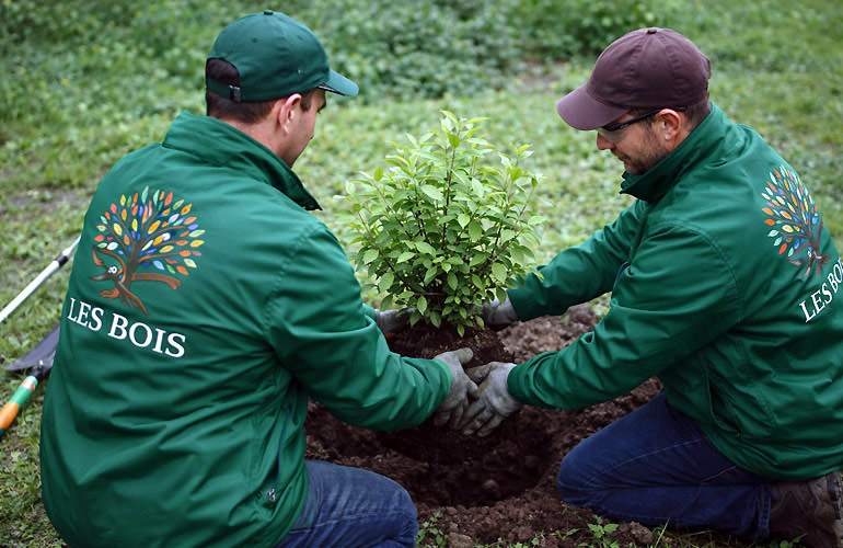 PerchÃ¨ scegliere noi - Les Bois