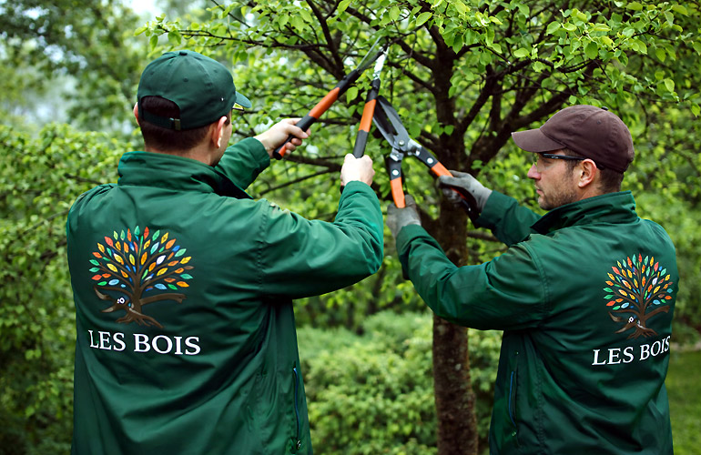 PerchÃ¨ scegliere noi - Les Bois