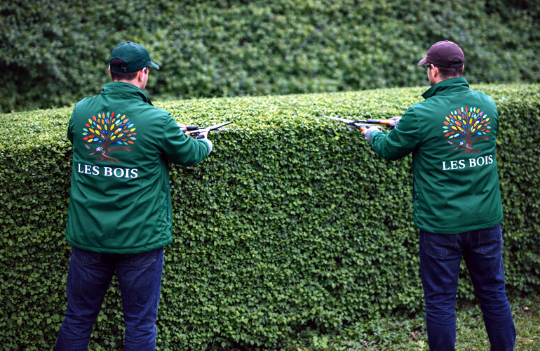 PerchÃ¨ scegliere noi - Les Bois